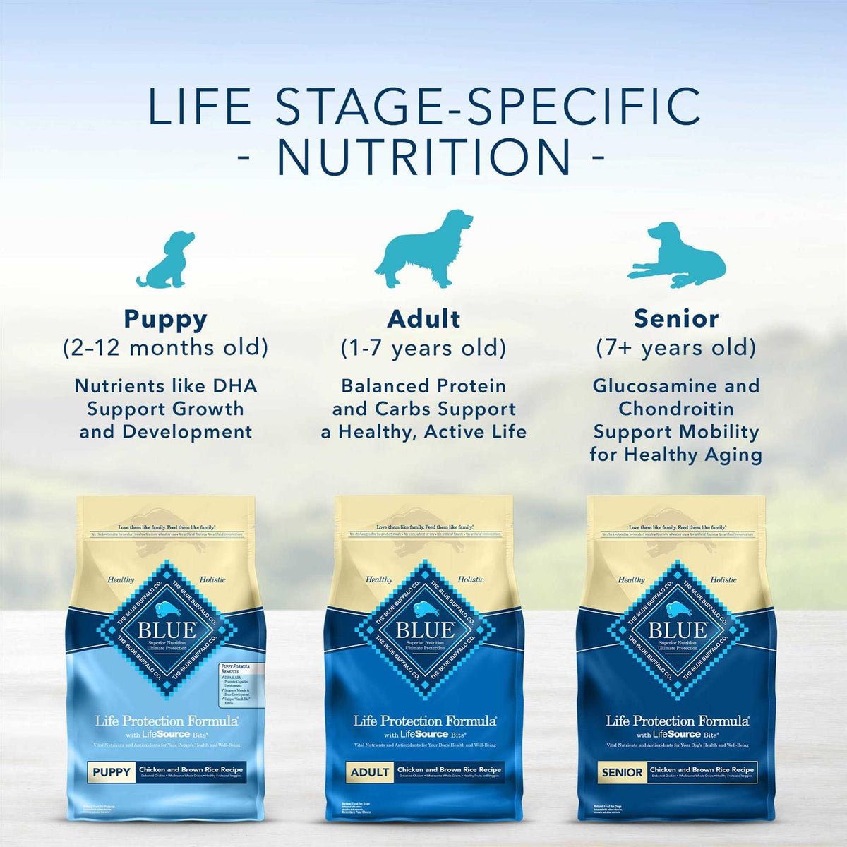 Adult Chicken & Brown Rice Dry Dog Food C30852
