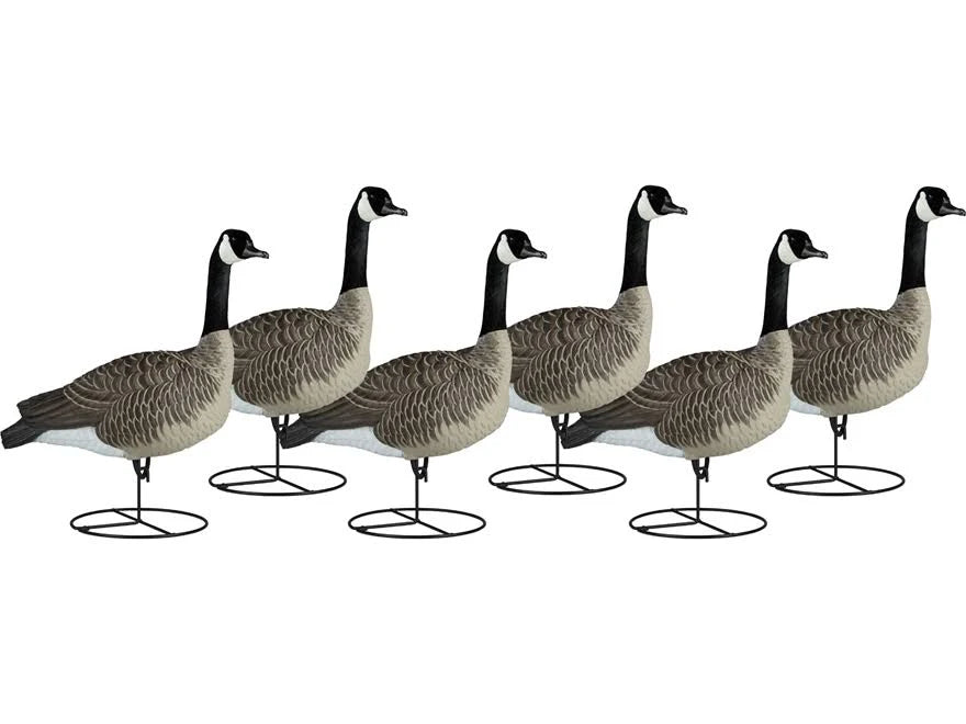 Flocked Canada Honker Decoys H412361
