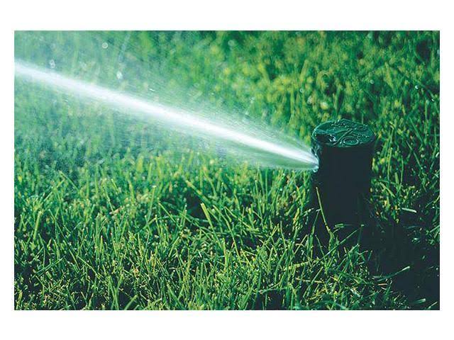 Pop-Up Sprinkler Head Z296413