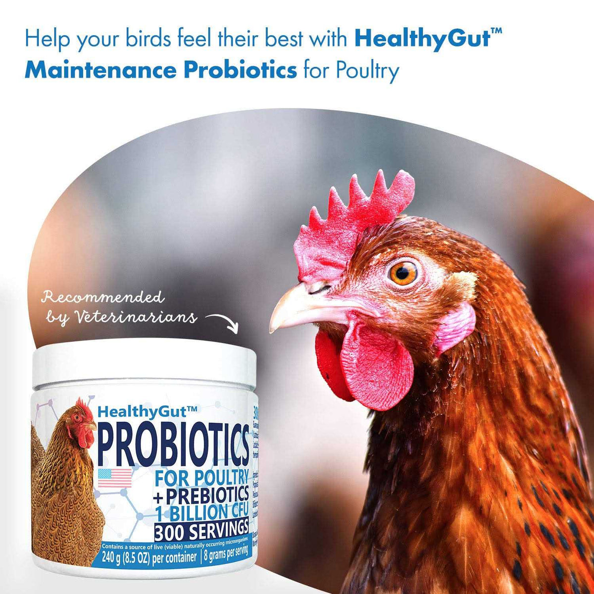 Probiotics for Chickens & Poultry T5260