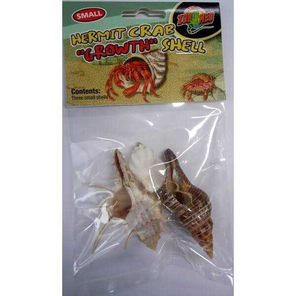 Hermit Crab Growth Shell G6914