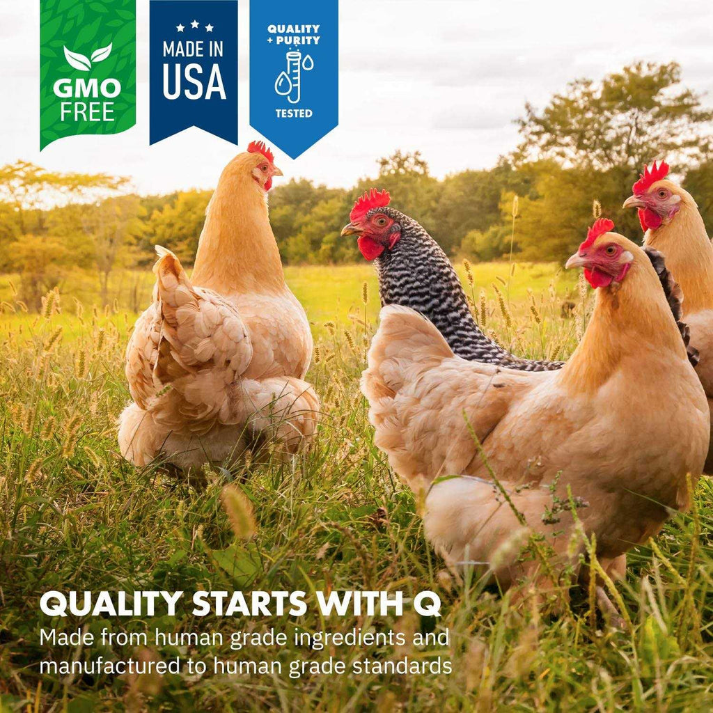 Probiotics for Chickens & Poultry T5260