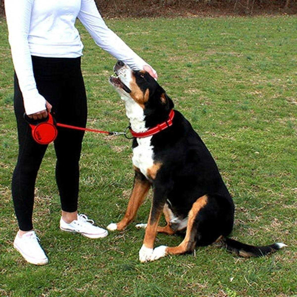 Retractable Dog Leash K40494