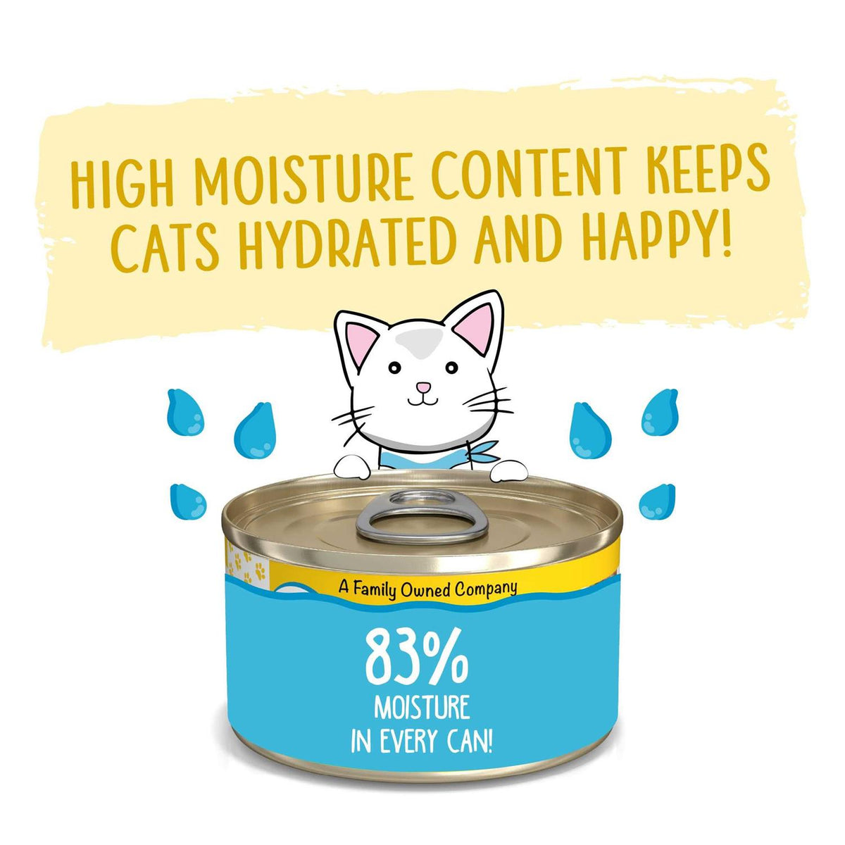 Cat Pate K64475