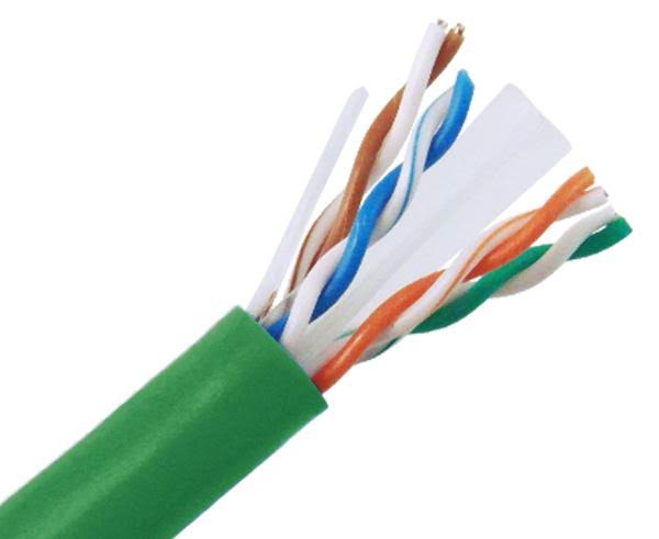 Cat6a Riser Bulk Ethernet Cable, Indoor, Unshielded CMR, UTP, 23 AWG Green L98298