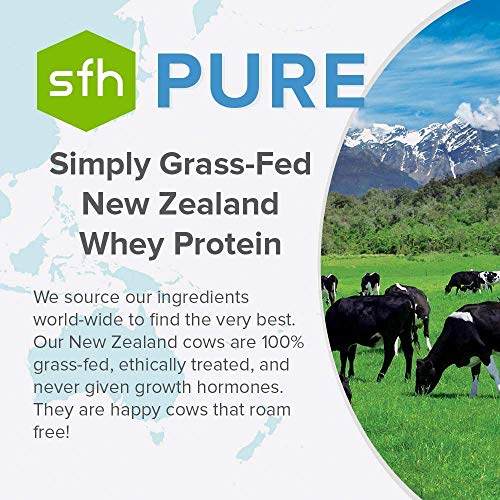 Pure Whey Protein Powder G9739