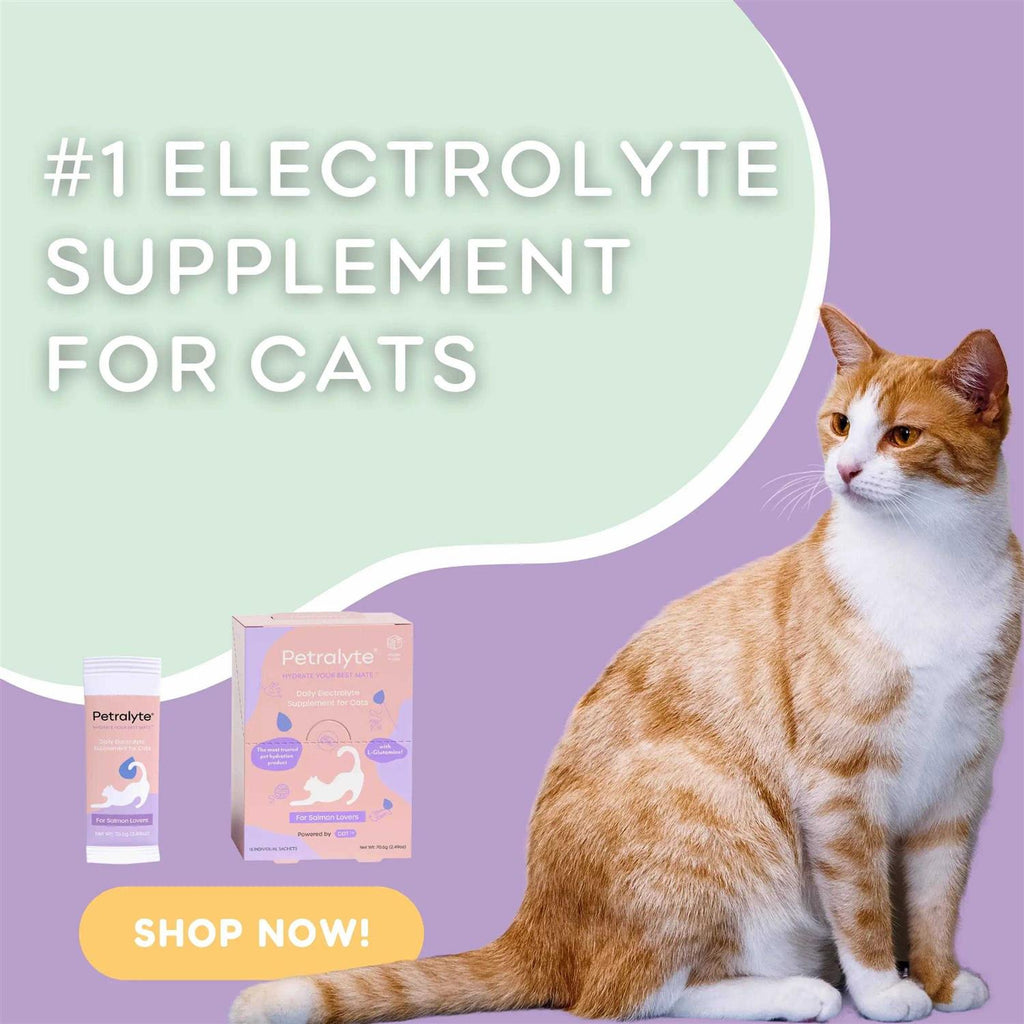 Cat Electrolyte and Joint Supplement J257