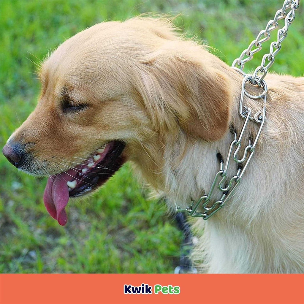 Dog Prong Collars Extra Links L5262