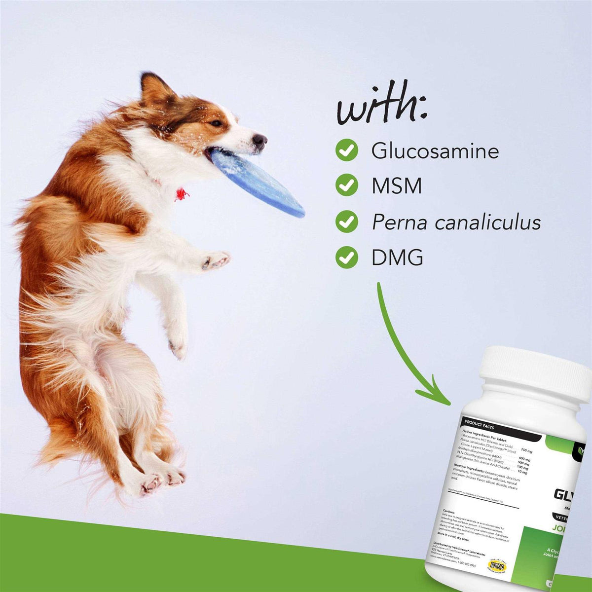 Dog Supplements L47916