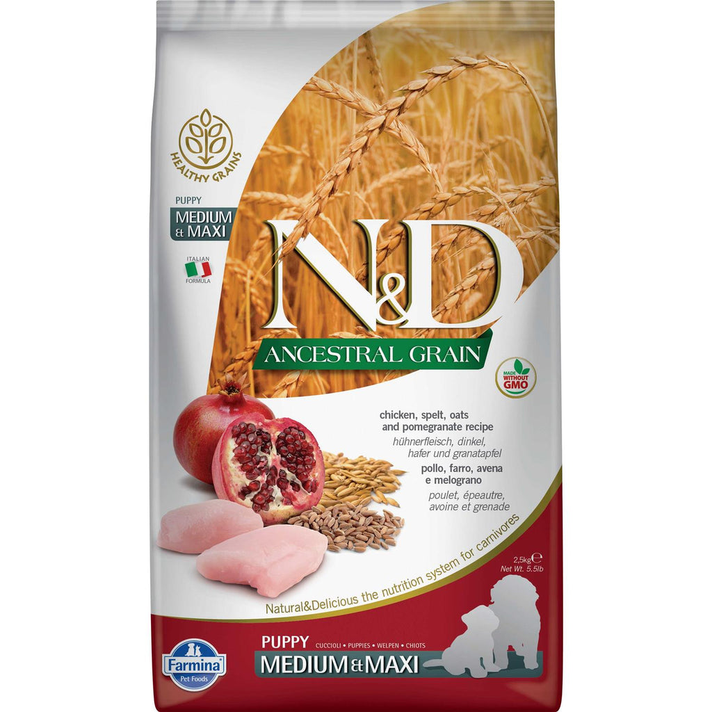Chicken & Pomegranate Dry Dog Food E9989
