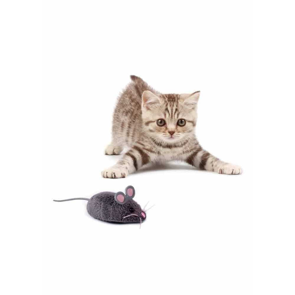 Robotic Cat Toy C4984
