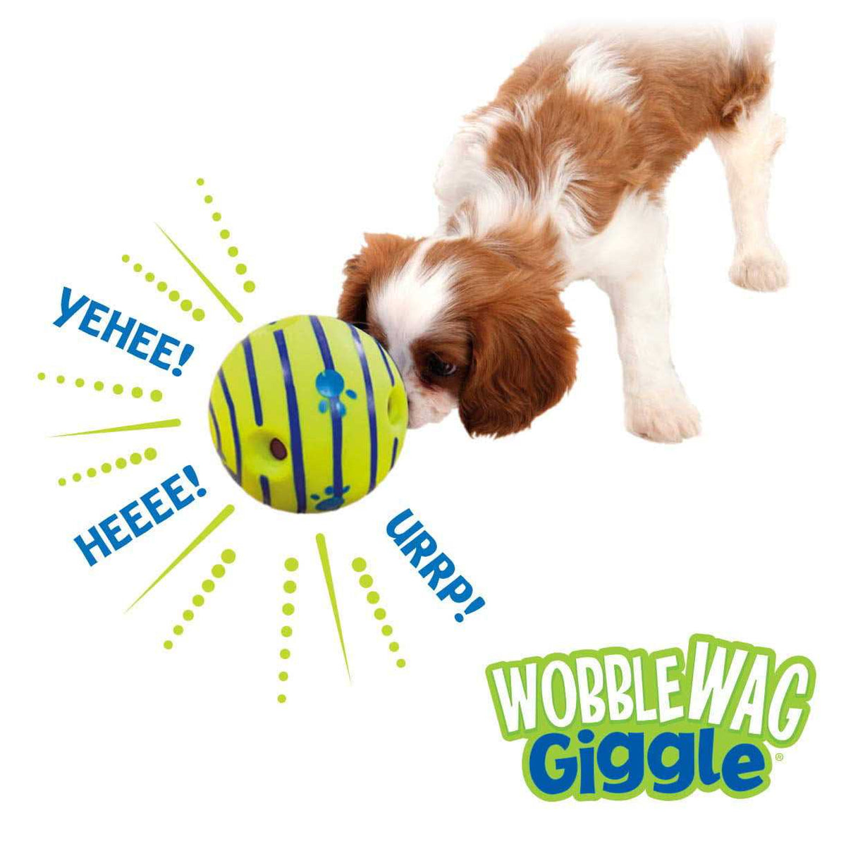 Dog Toy D86432