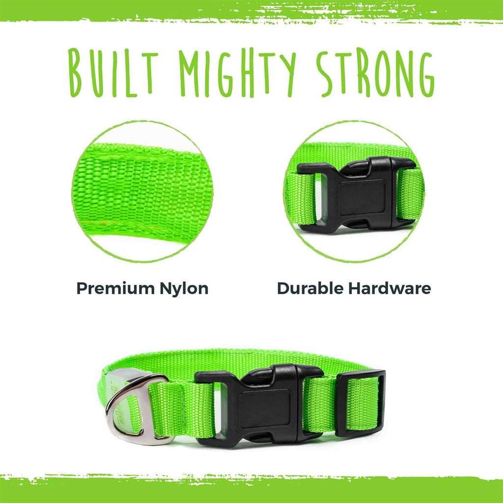 LED Dog Collar USB Rechargeable P95335