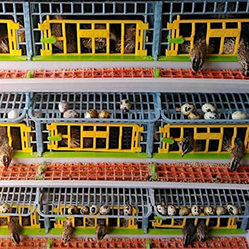 3 Layer ABS Plastic Quail Cage M988