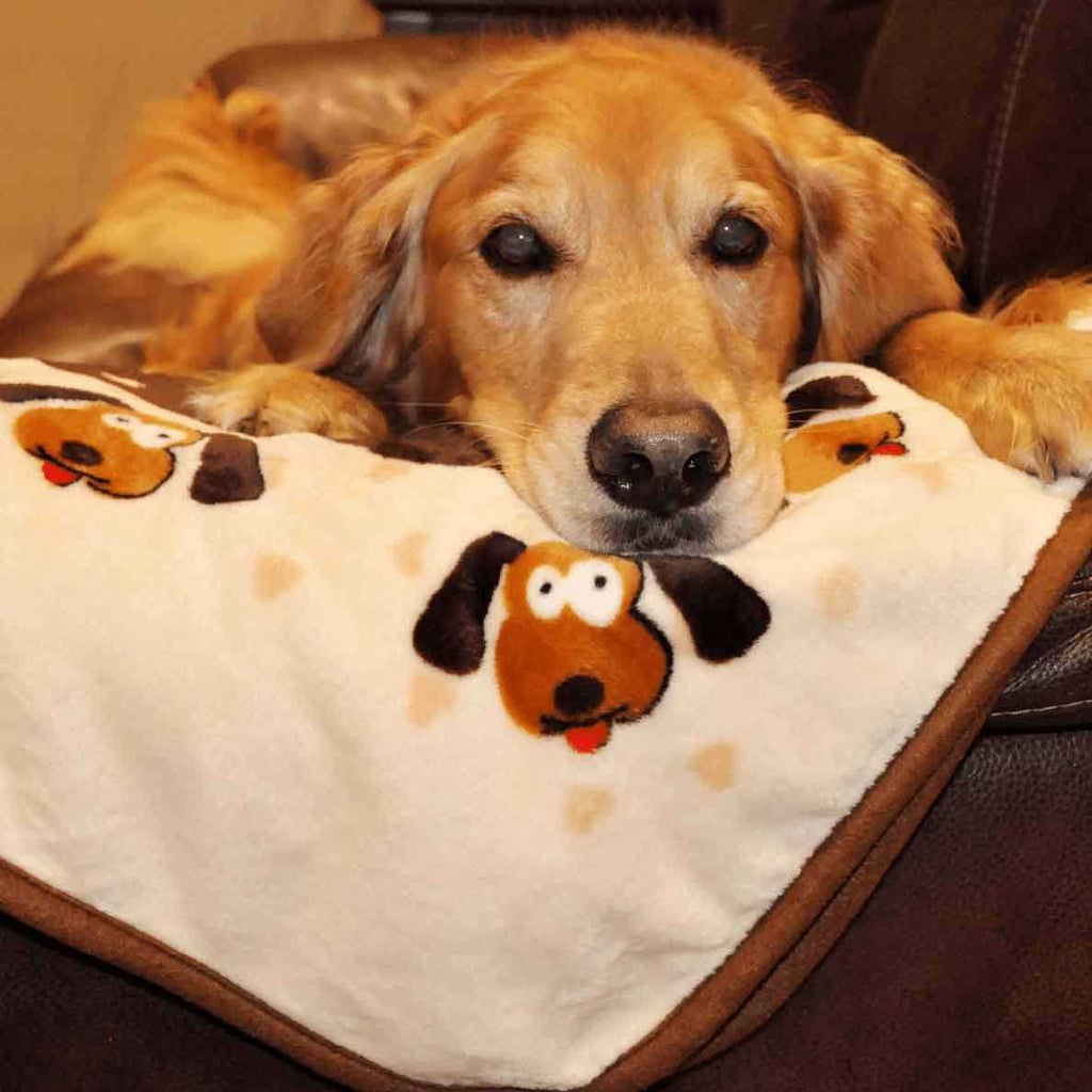 Blanket for Pets S582