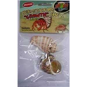 Hermit Crab Growth Shell N11346