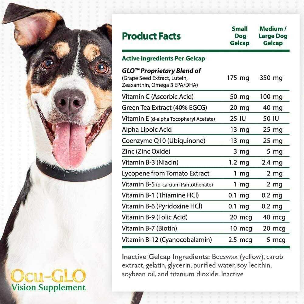 Medium to Large Dogs T350845