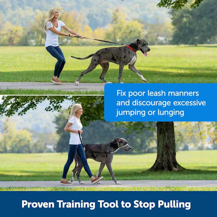 Gentle Leader Headcollar W303
