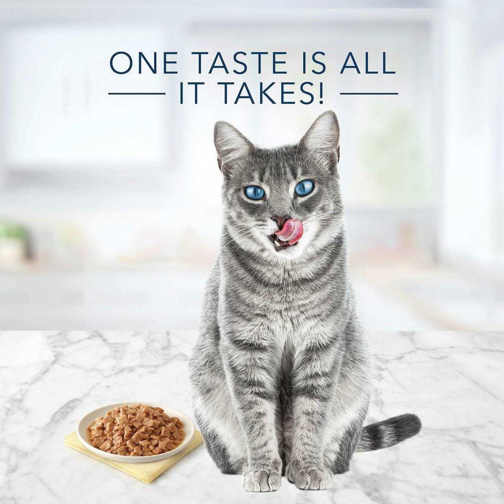Tuna Chicken Fish & Shrimp Flaked Wet Cat Food M443148