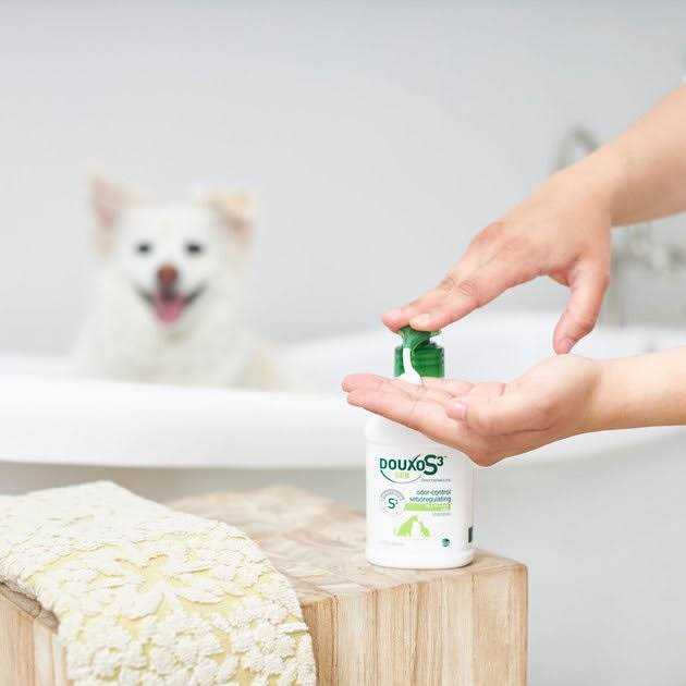 Shampoo O810961