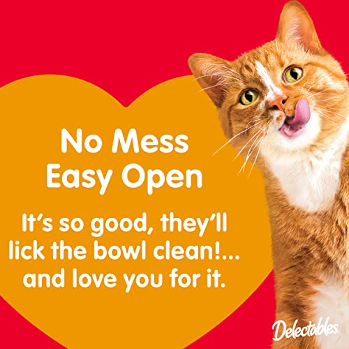 12 Pack 1.40 Ounce Chicken Flavor Lickable Wet Cat Treat Q77601