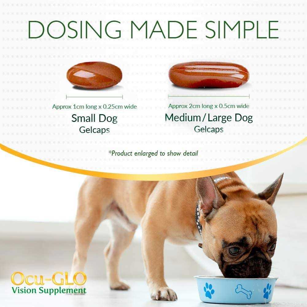 Medium to Large Dogs T350845