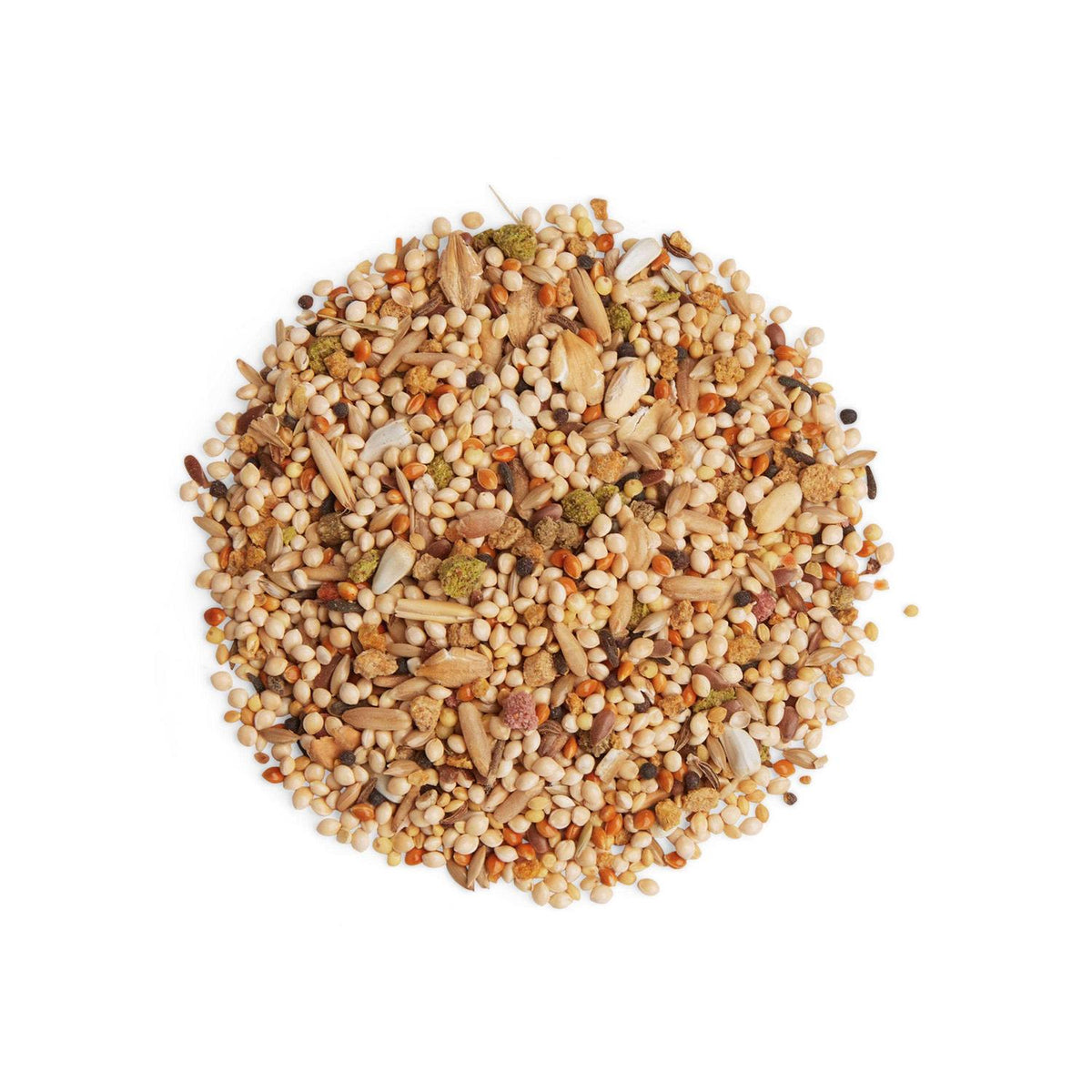 Parakeet Diet T41868