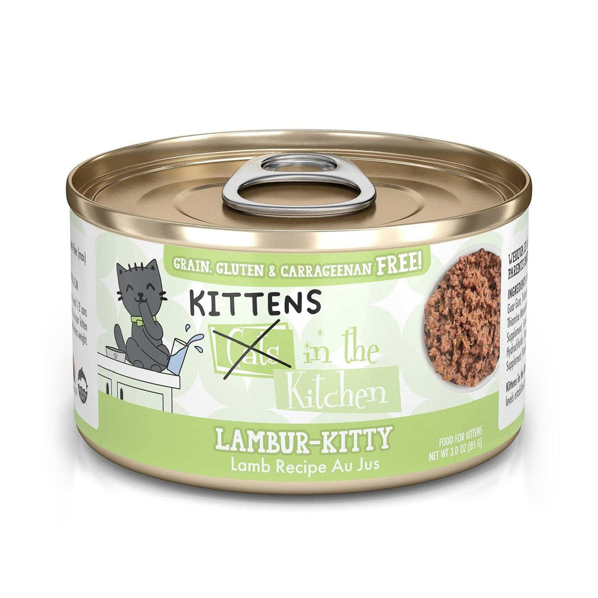 Wet Cat Food R9853