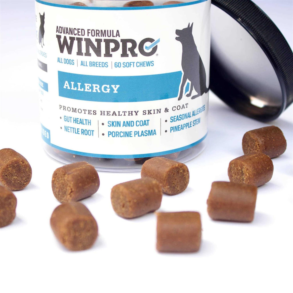 Pet Allergy Soft Chew Dog Supplement S1379