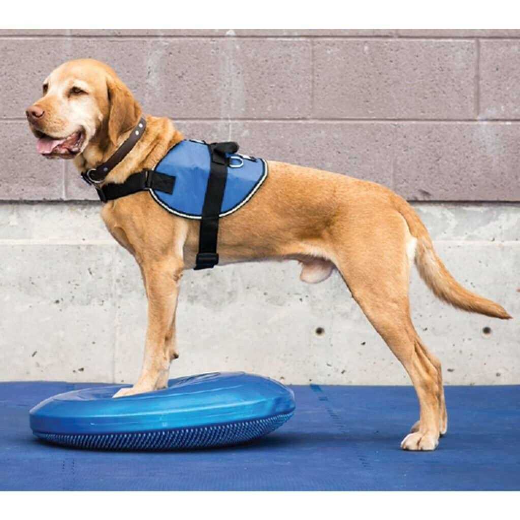 Balance Disc C212
