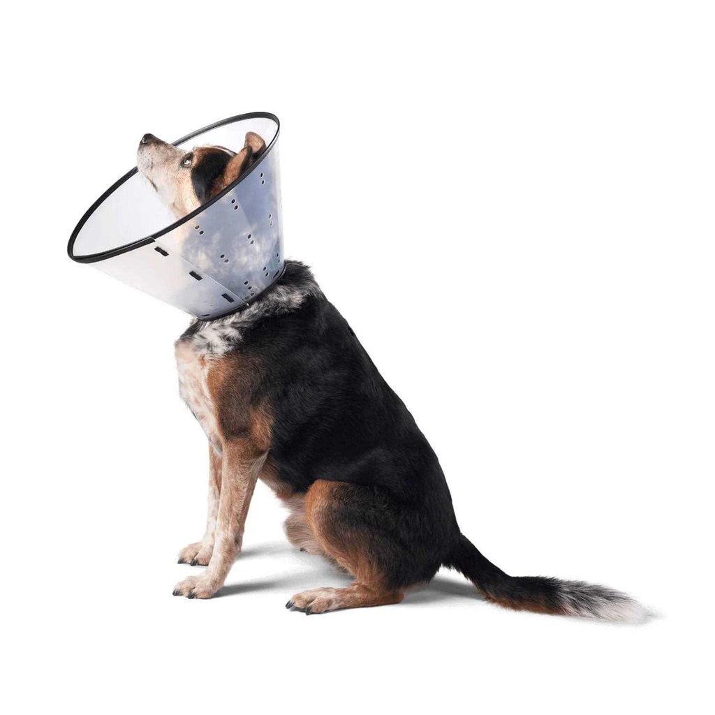 Dog E-Collar U64697