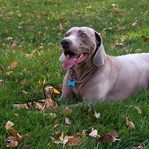 RealTree Moose Dog Toy Q354818