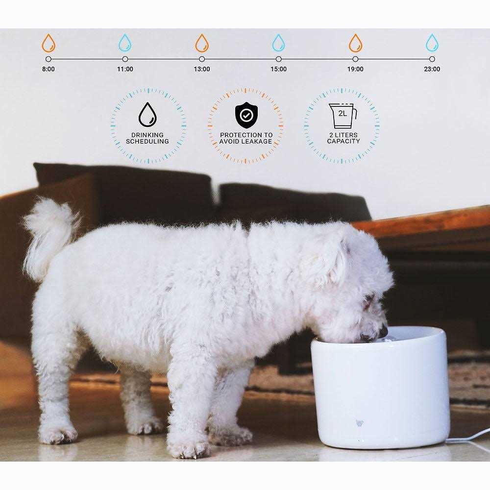 Smart Pet Water Fountain V383