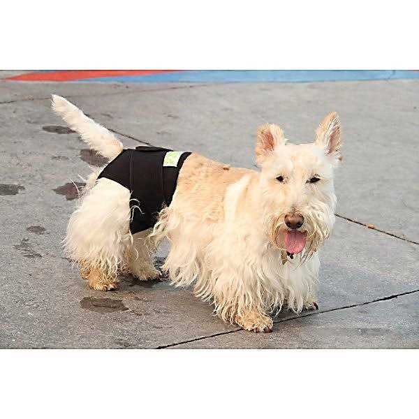 Dog Wrap X5352