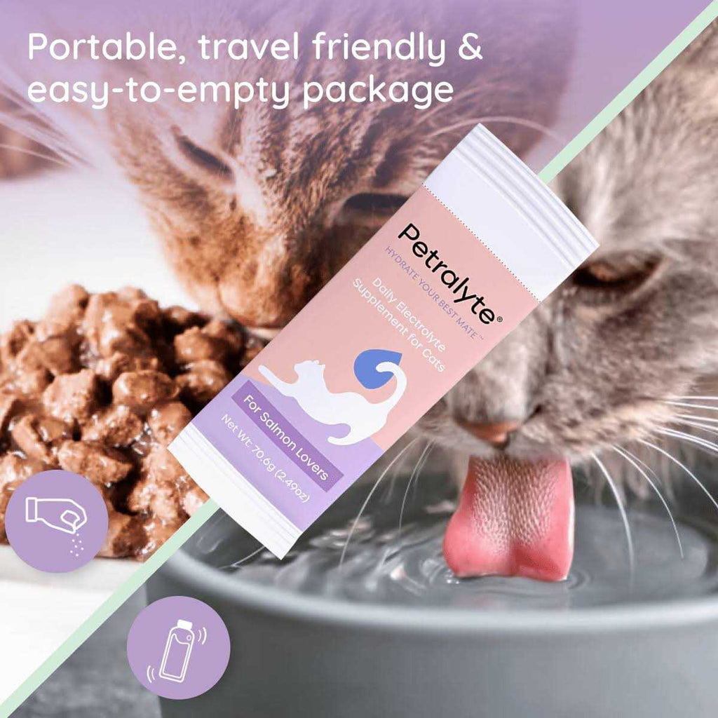 Cat Electrolyte and Joint Supplement J257