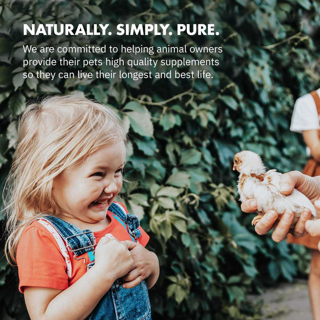 Probiotics for Chickens & Poultry T5260