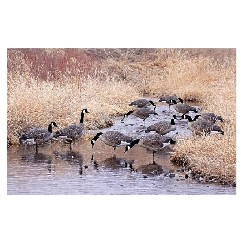 Flocked Canada Honker Decoys H412361