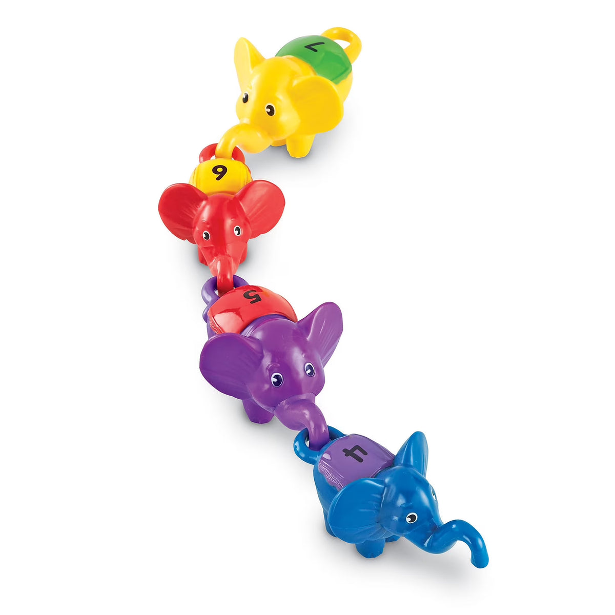 Counting Elephants Y582