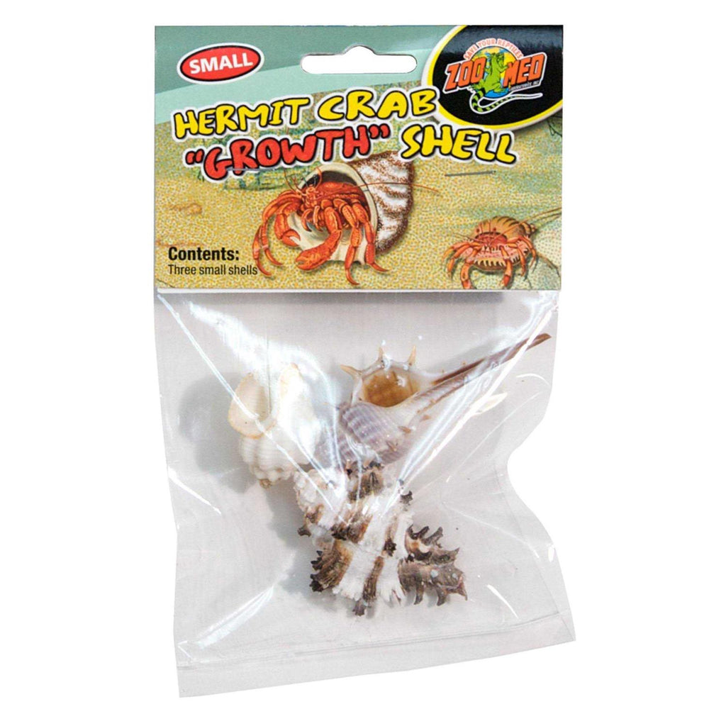 Hermit Crab Growth Shell G6914
