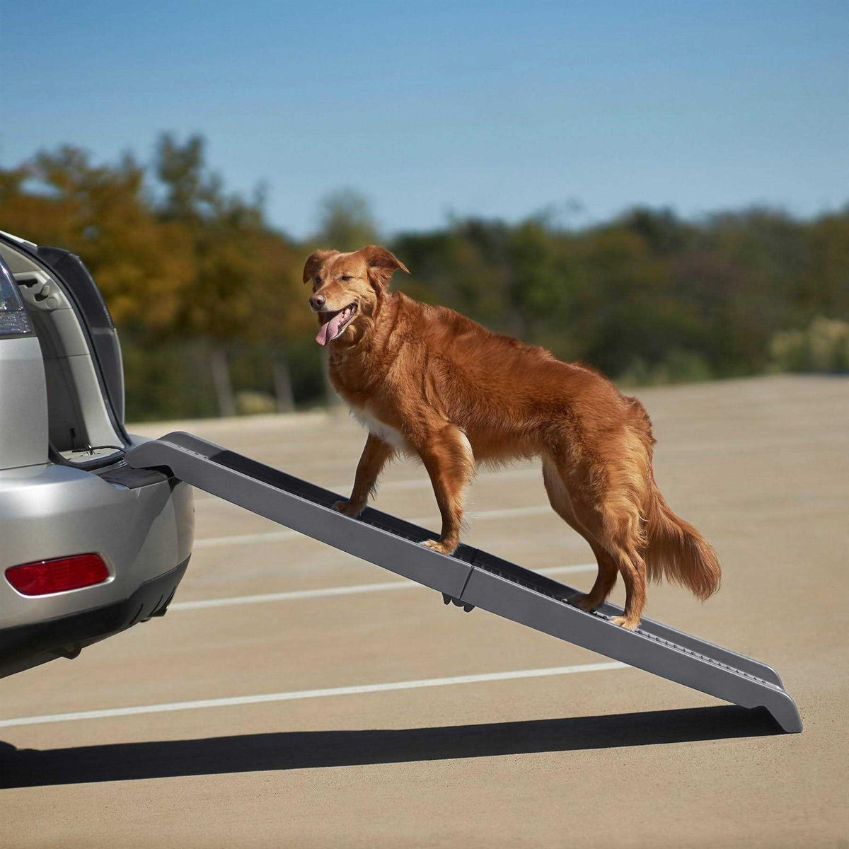 Bi-Fold Plastic Pet Ramp O242174