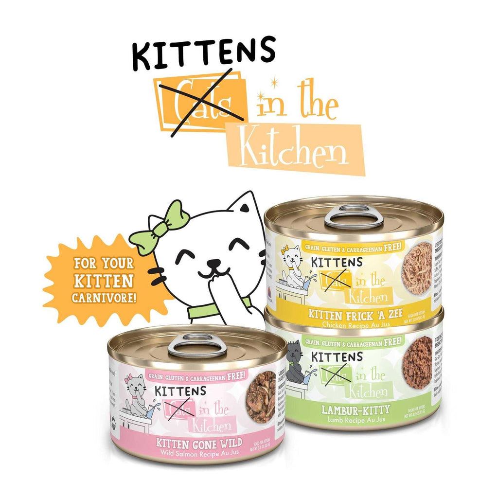 Wet Cat Food R9853