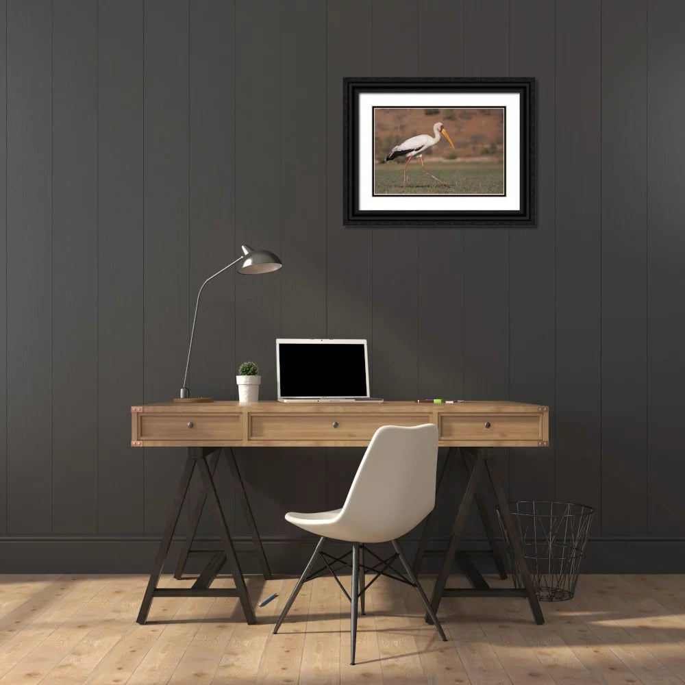 Black Ornate Wood Framed Art Print F534237