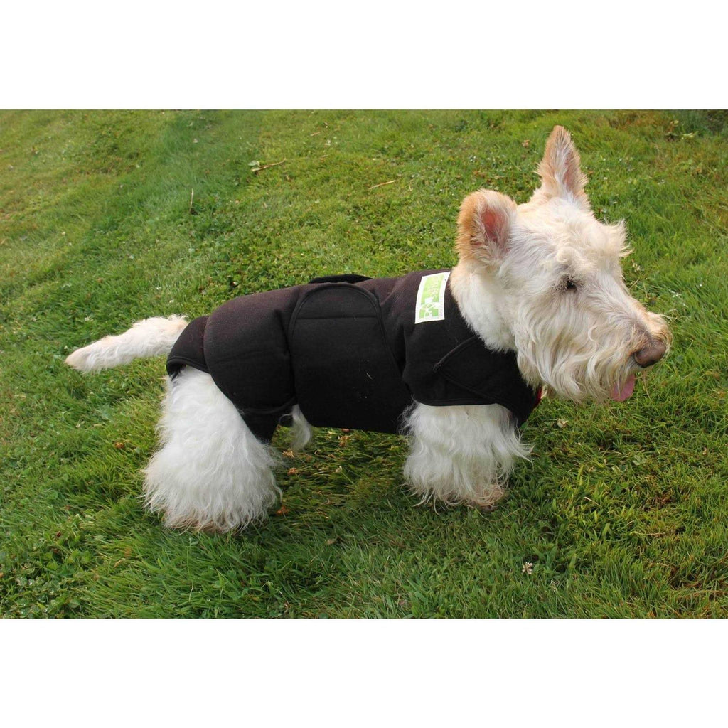 Dog Wrap X5352