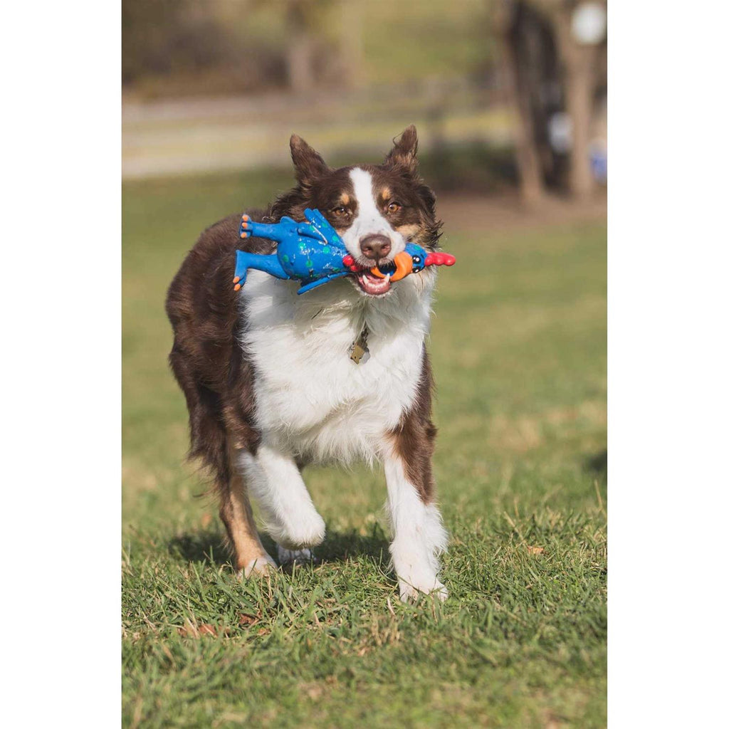 Chicken Dog Toy U570954