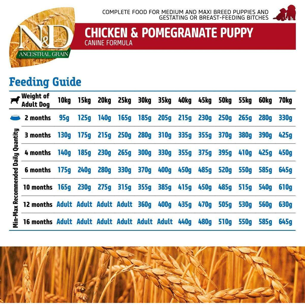 Chicken & Pomegranate Dry Dog Food E9989
