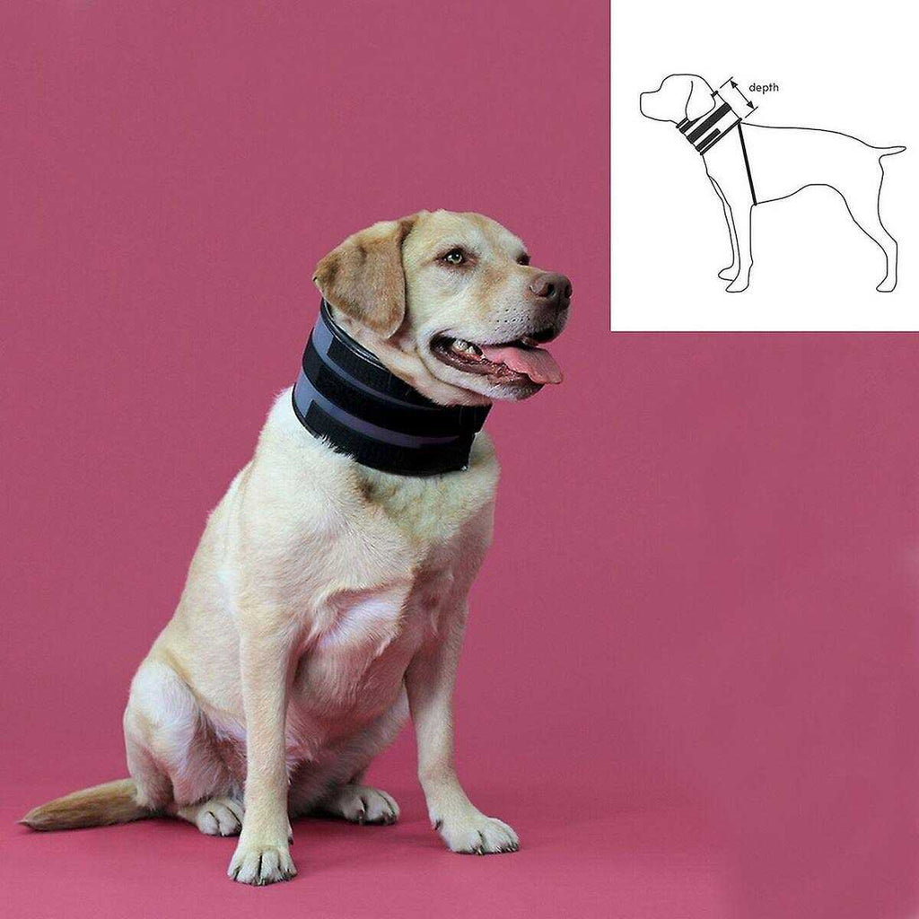 Cervical Collar R520
