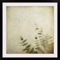 Photographic Print Black Frame 38x22 U215