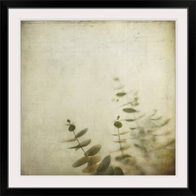 Photographic Print Black Frame 38x22 U215