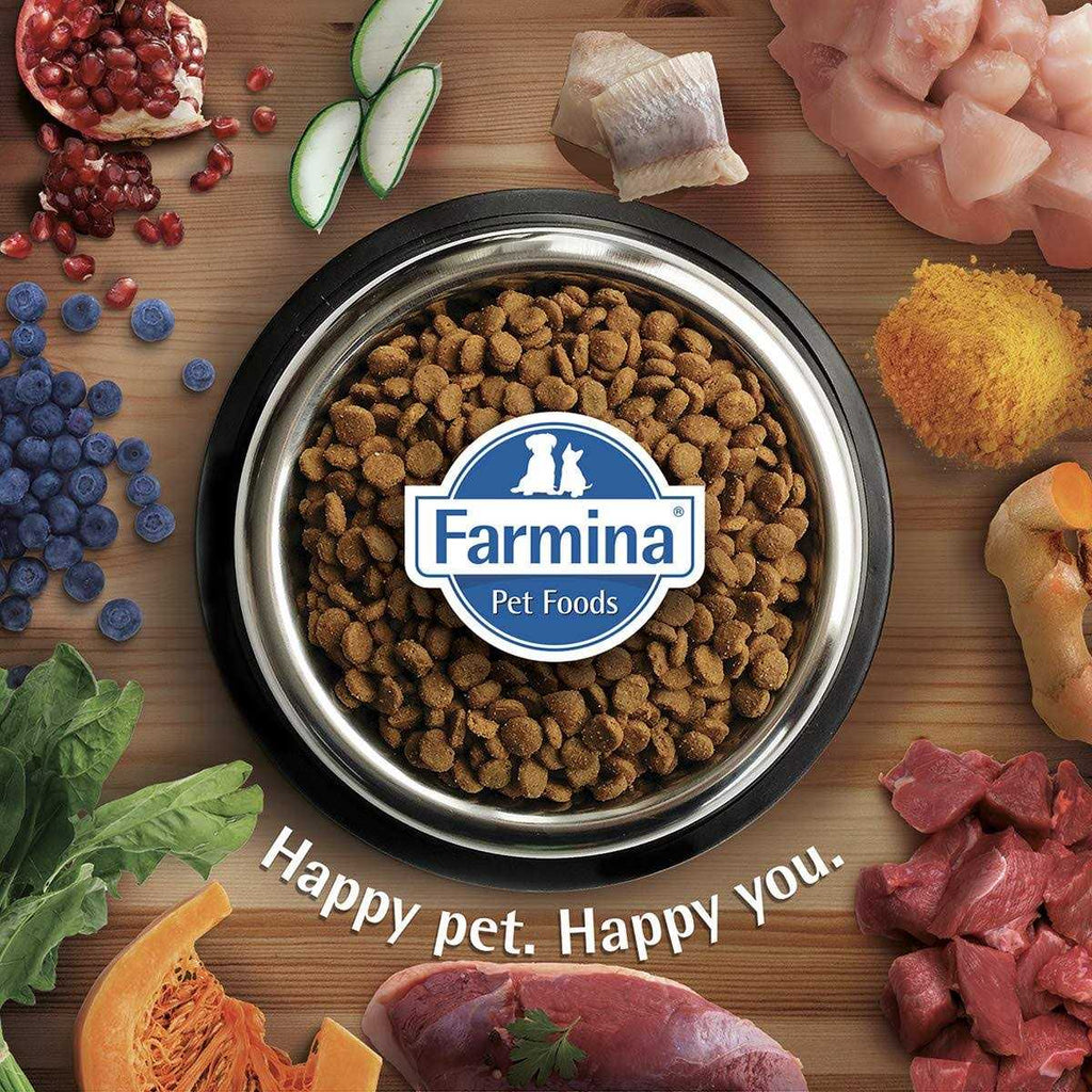 Chicken & Pomegranate Dry Dog Food E9989