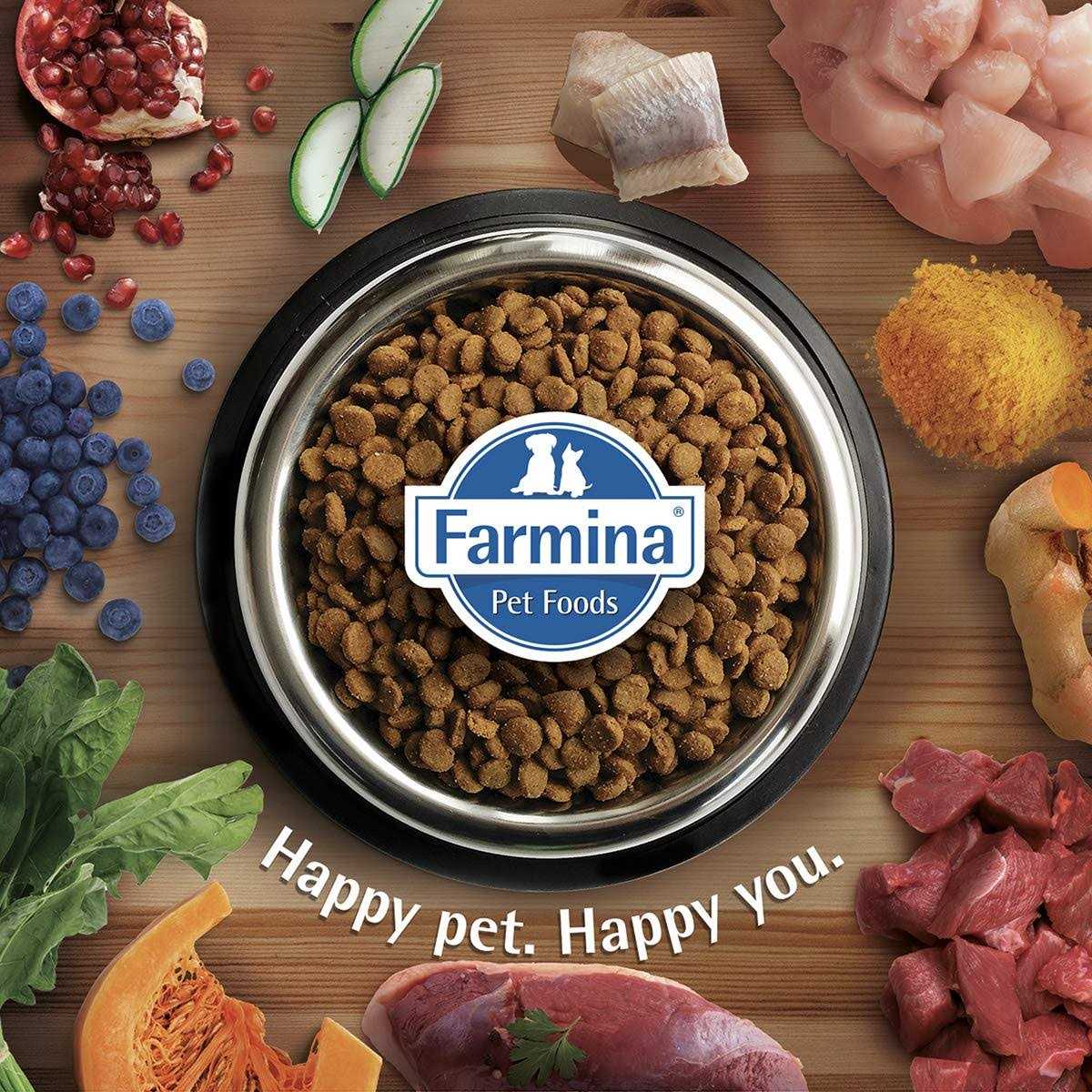 Chicken & Pomegranate Dry Dog Food E9989
